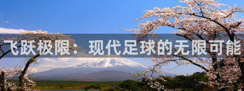 JJB竞技宝官网下载平台是正规平台吗安全吗：飞跃极限