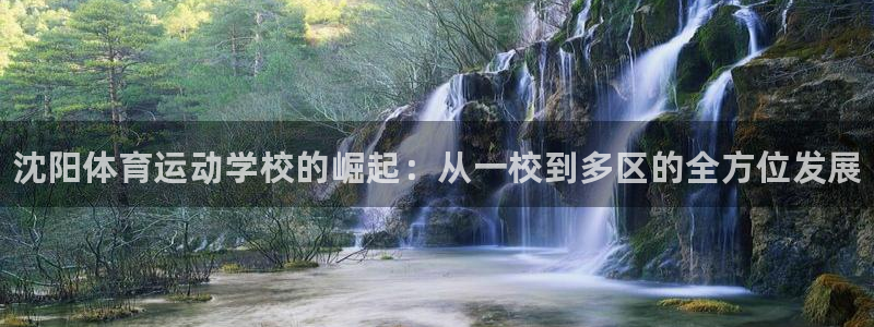 JJB竞技宝官网下载开户：沈阳体育运动学校的崛起：从