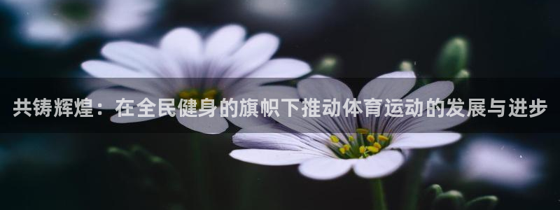 JJB竞技宝官方正版app集团logo：共铸辉煌：在