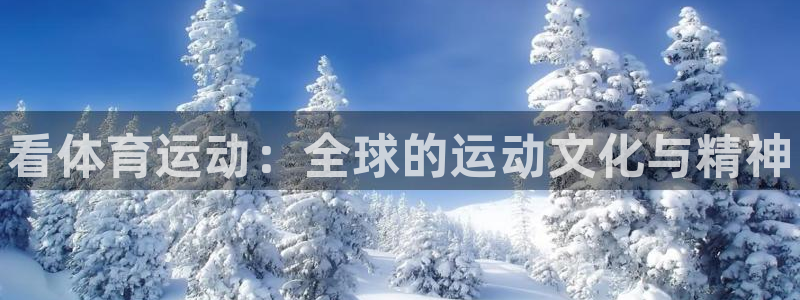 JJB竞技宝官网下载联系电话：看体育运动：全球的运动