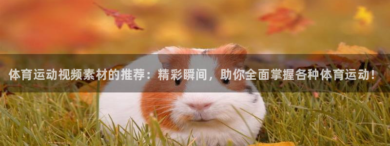 JJB竞技宝官方正版app娱乐首页官网下载：体育运动