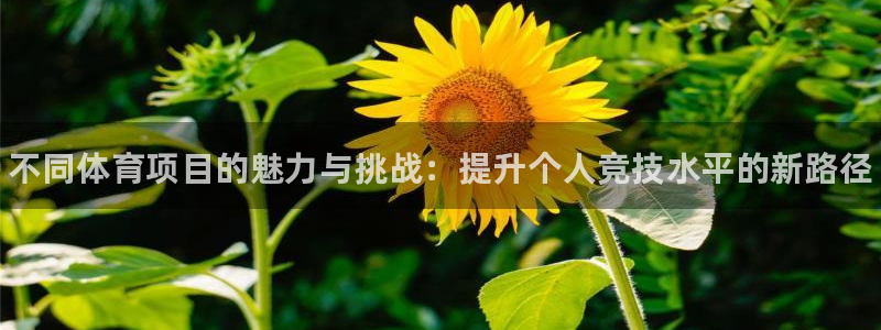 JJB竞技宝官网下载招商电话号码是多少号：不同体育项