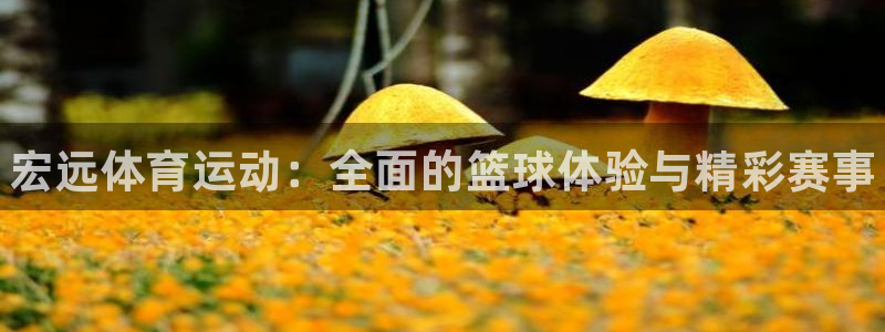 JJB竞技宝官网下载招商电话号码是多少：宏远体育运动