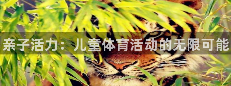JJB竞技宝官网下载招商电话地址是多少：亲子活力：儿