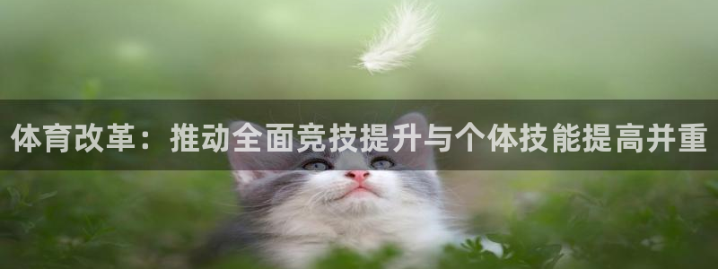 JJB竞技宝官方正版app集团logo：体育改革：推