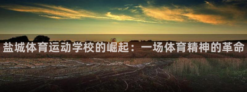 JJB竞技宝官网下载平台注册流程图：盐城体育运动学校