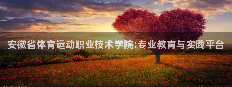 JJB竞技宝官方正版app娱乐40996：安徽省体育运动职业
