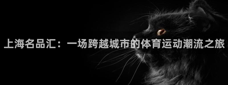 JJB竞技宝官方正版app官方：上海名品汇：一场跨越城市的体