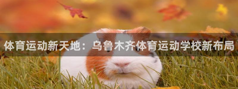 JJB竞技宝官方正版app娱乐下载：体育运动新天地：