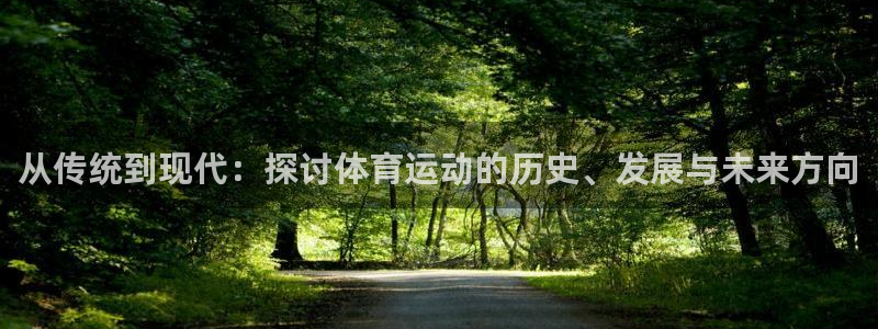 海南JJB竞技宝官网下载发展怎么样：从传统到现代：探