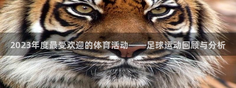 JJB竞技宝官方正版app开户：2023年度最受欢迎