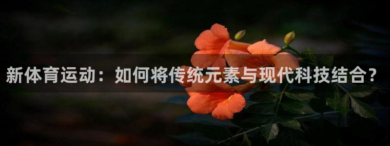 JJB竞技宝官方正版app集团logo：新体育运动：
