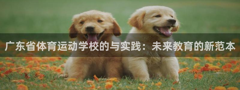 JJB竞技宝官方正版app集团E.ON：广东省体育运动学校的