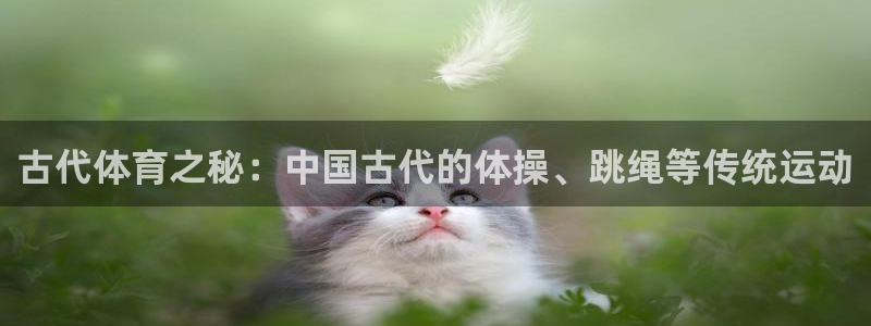 JJB竞技宝官网下载平台注册要钱吗