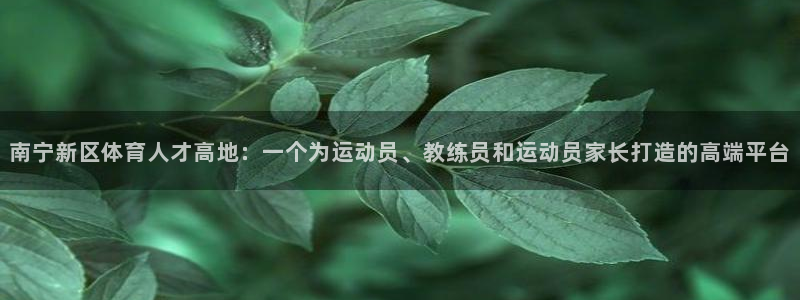 JJB竞技宝官网下载官方客服电话