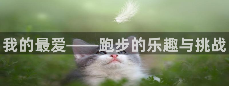 JJB竞技宝官网下载平台注册：我的最爱——跑步的乐趣与挑战