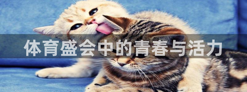 JJB竞技宝官方平台体育