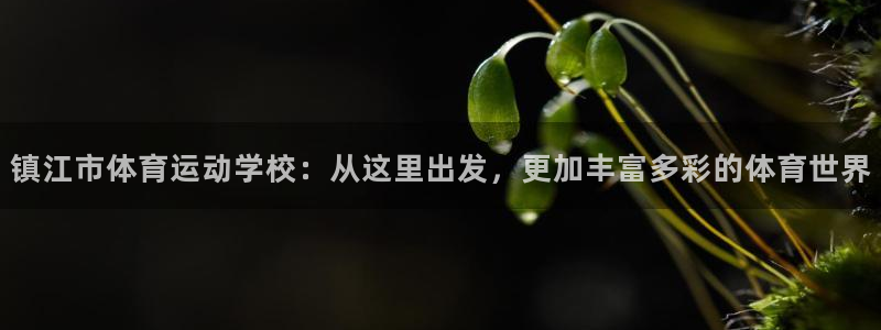 JJB竞技宝官方正版app集团简介：镇江市体育运动学校：从这