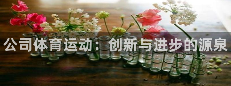 JJB竞技宝官方正版app官网：公司体育运动：创新与进步的源