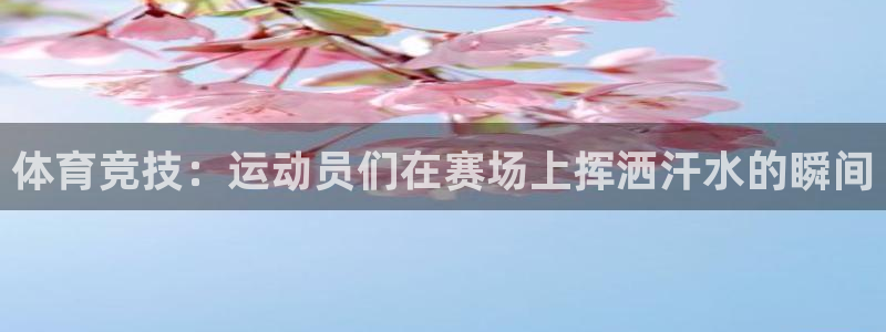 竞技宝是什么平台：体育竞技：运动员们