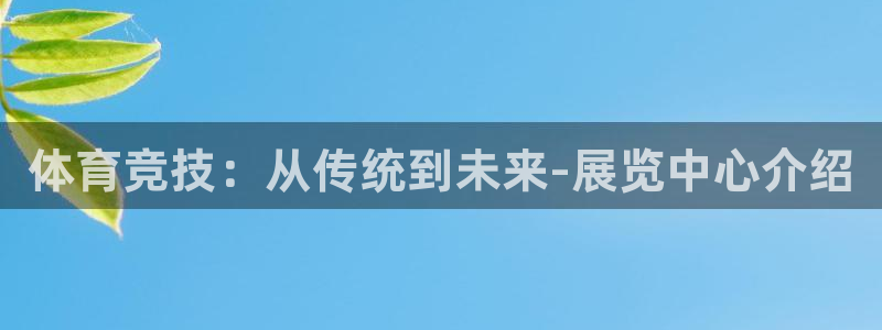 竞技宝怎么举报：体育竞技：从传统到未