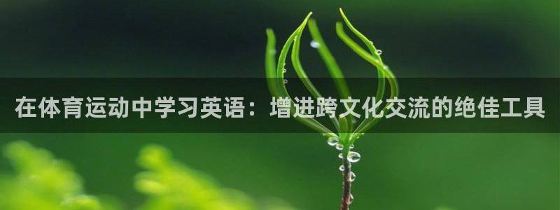 竞技宝软件下载官网：在体育运动中学习