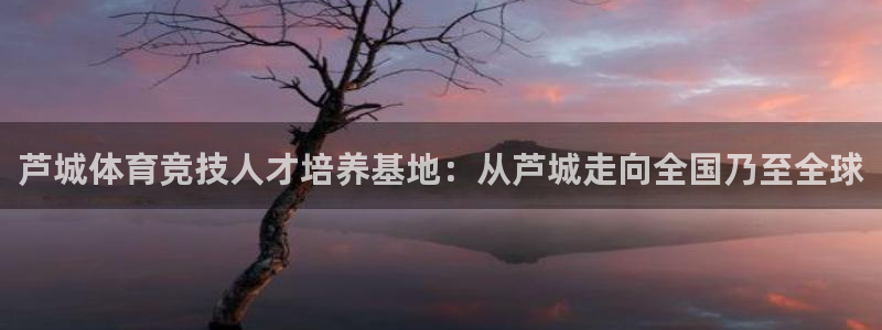 竞技宝官网官方在线登录：芦城体育竞技